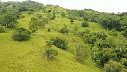 Open pasture with visible natural streams ideal for cattle ranching