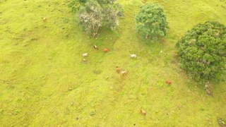 Ranch / Cattle Farm for Sale in Toabré - 2 bedrooms