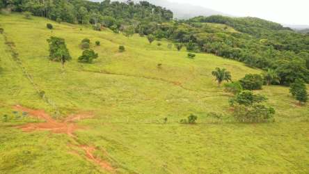 Heavy-duty steel livestock handling with concrete platform and chute