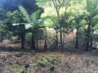 Wire fence bordering wooded property site in mountain lake region Panama Oeste