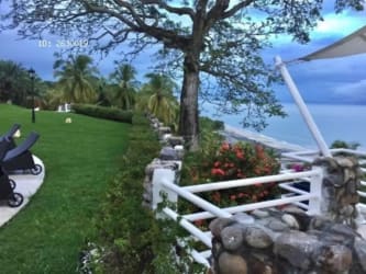 Garden driveway lined with palms leading to beach houses Las Guias Panama
