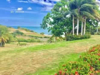 Tropical beachfront property with palm trees ocean view lush green gardens in Panama