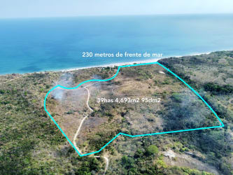 Survey drone shot of outlined beachfront Pacific parcel for sale in Panama with flat terrain