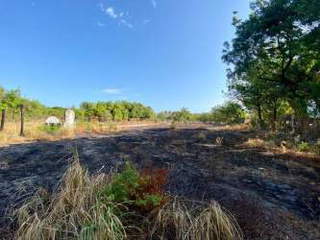 Land for Sale in Nueva Gorgona - 0 bedrooms