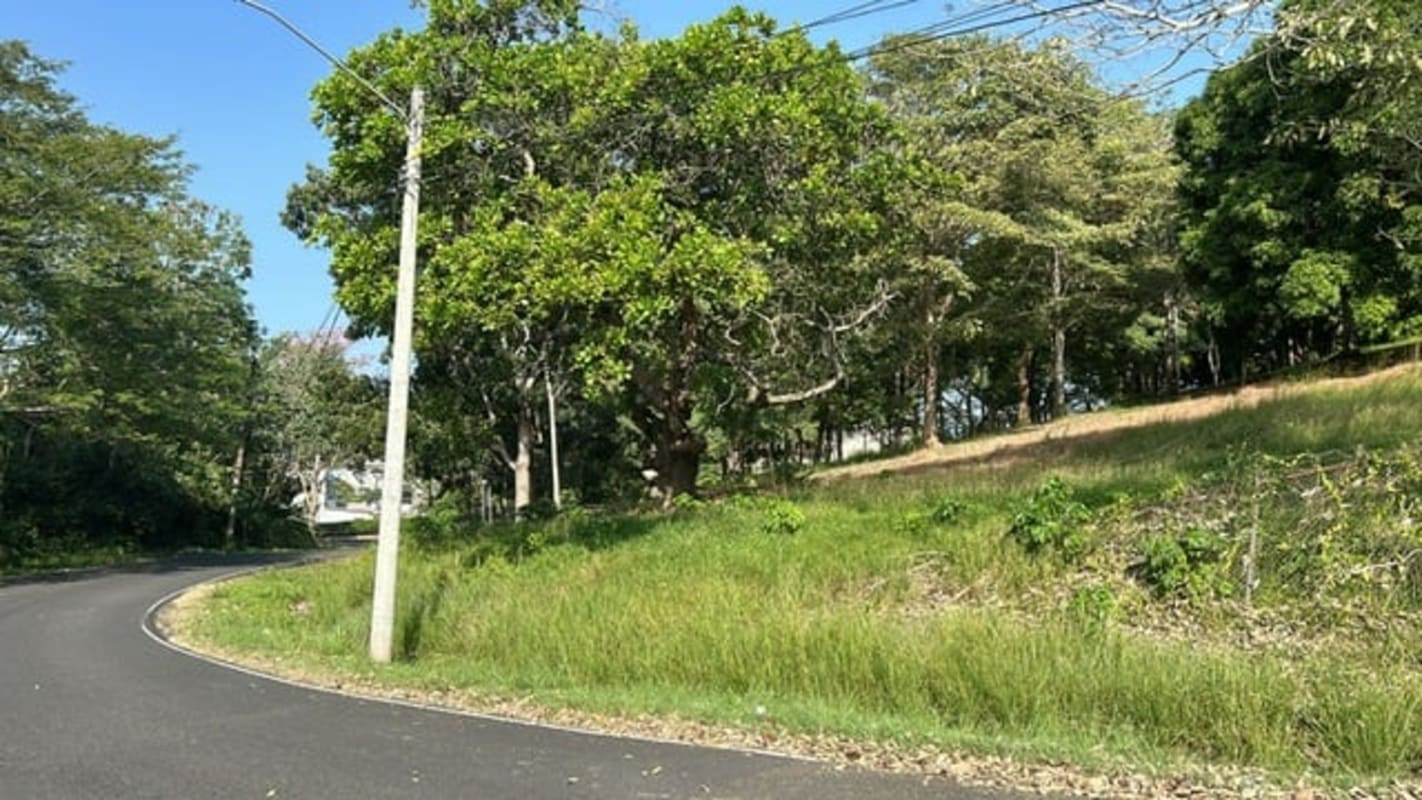 Paved road with mature trees and vacant lot available in Curundu Panama