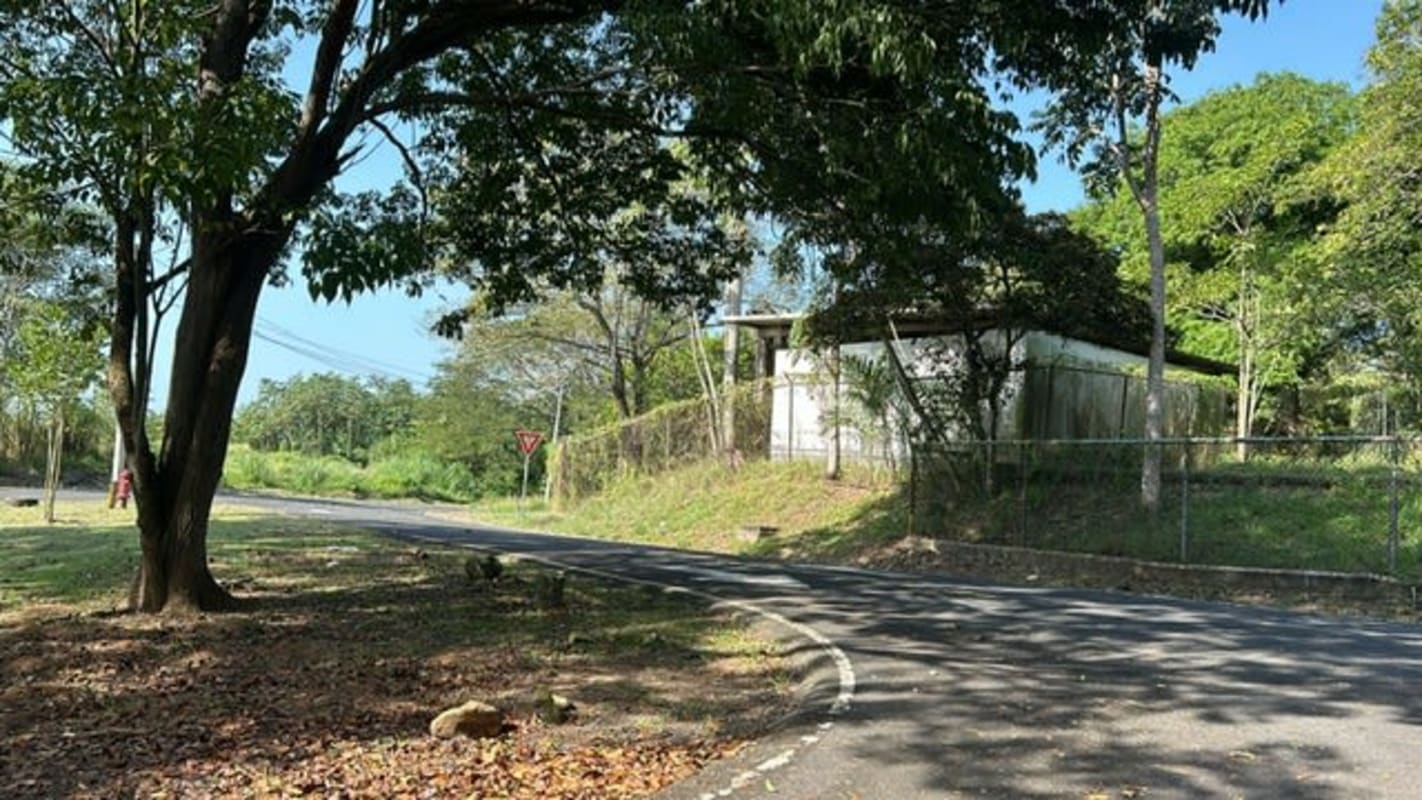 Curved asphalt road next to mature trees and greenery in Altos de Curundu Panama City