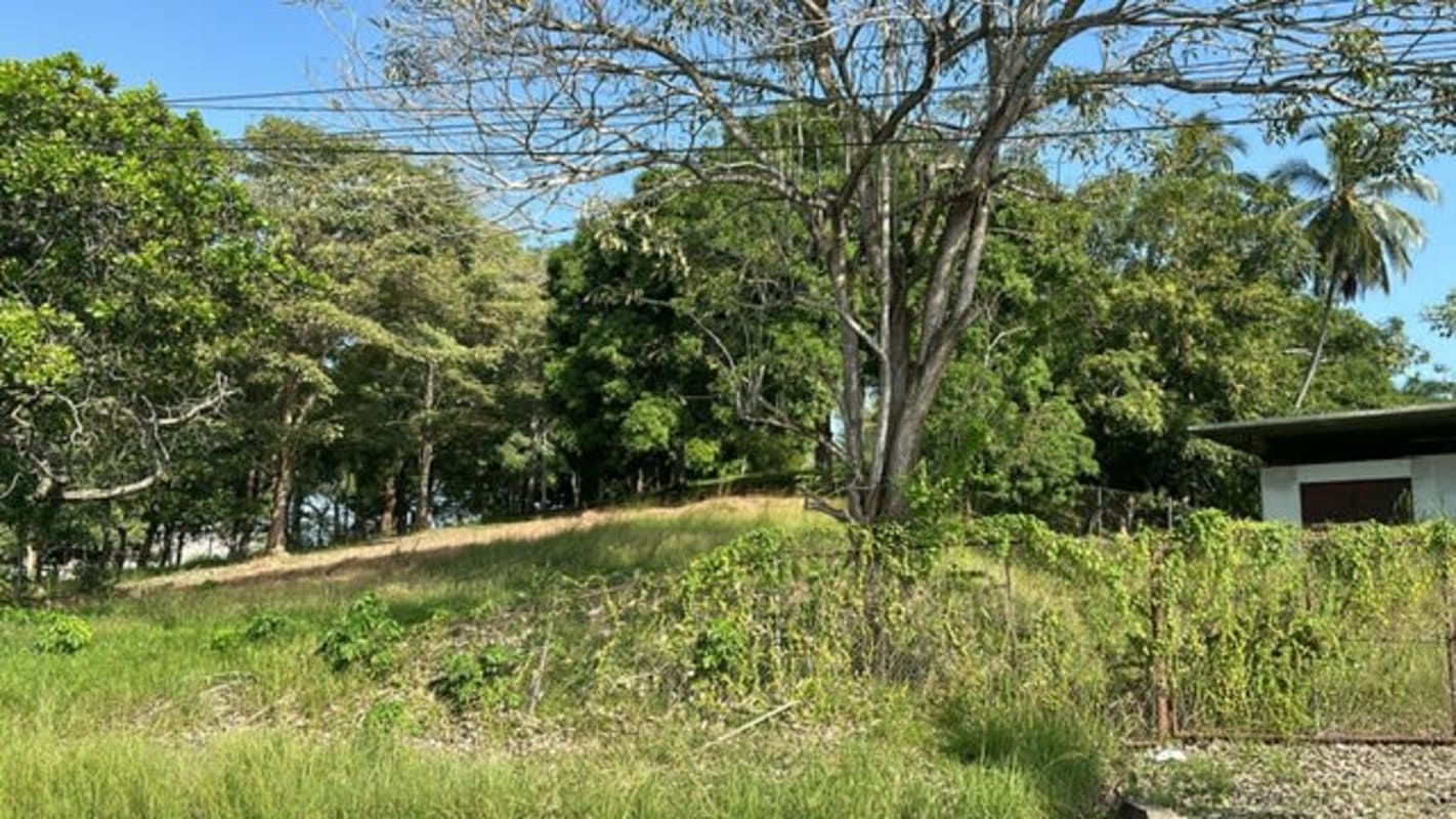 Vacant building plot with green grass, fencing and tall shade trees Altos de Curundu Panama