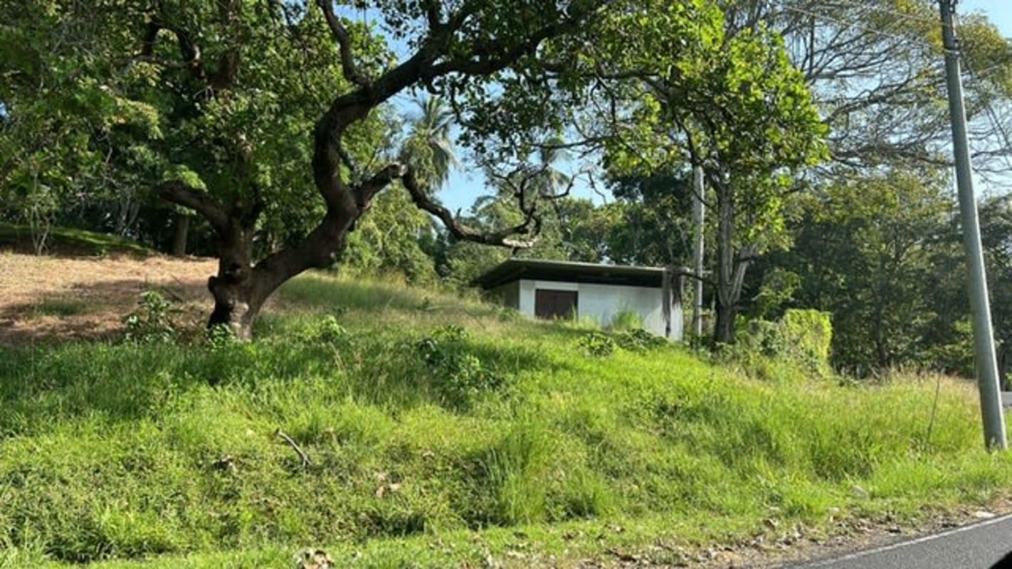 Small shed on grassy plot surrounded by trees in Altos de Curundu Panama