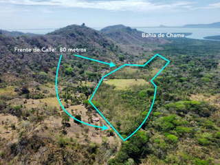 Land / Farm for Sale in Chirí Grande / Tembladera - 0 bedrooms