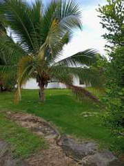 House for Sale in Bugaba - 4 bedrooms