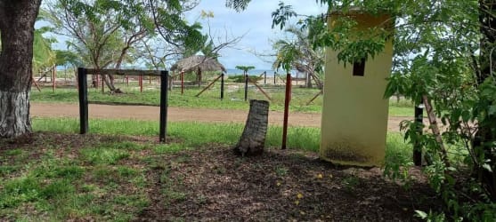 Entrance to rural beachfront property with fence shade and trees Pedasí Panama