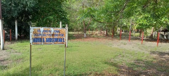 Open grassy beachfront lot with scattered trees fencing Pedasí Panama