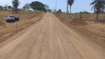 Utility poles and dirt road access through open land parcels in Proyecto Libertad Pedasi Panama