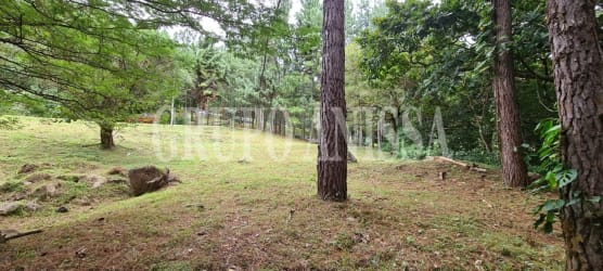 Wooded mountain lot with small creek natural setting in Altos del María Panama