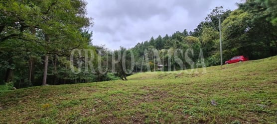 Mountain view grassy lot surrounded by trees and natural landscape in Altos del María Panama