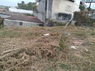 Empty lot in Nuevo Chorrillo with overgrown grass ideal for housing or commercial projects in Panama Oeste.