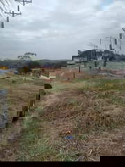 Land for Sale in Nuevo Chorrillo - 0 bedrooms