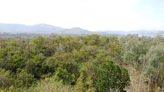 Ranch / Farmland for Sale in La Mesa de San Martín - 0 bedrooms