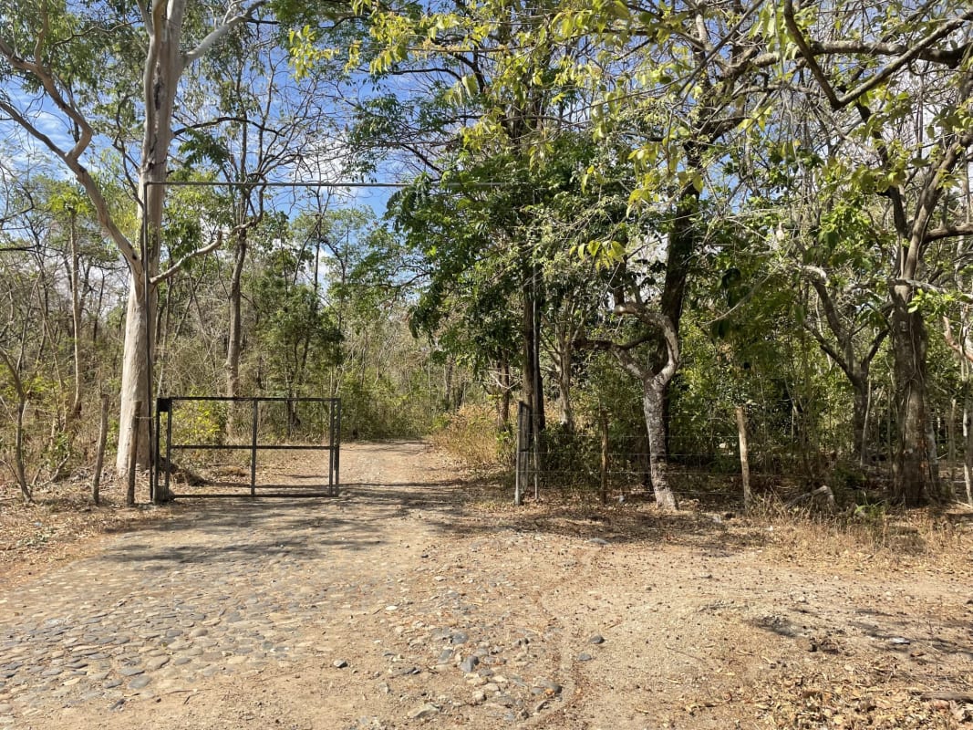 Rustic farm entrance with metal gate dirt access and perimeter fence on large land lot
