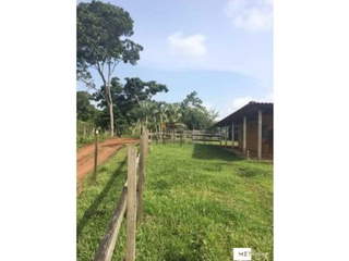 Farm / Agricultural Land for Sale in Santa Rita - 5 bedrooms