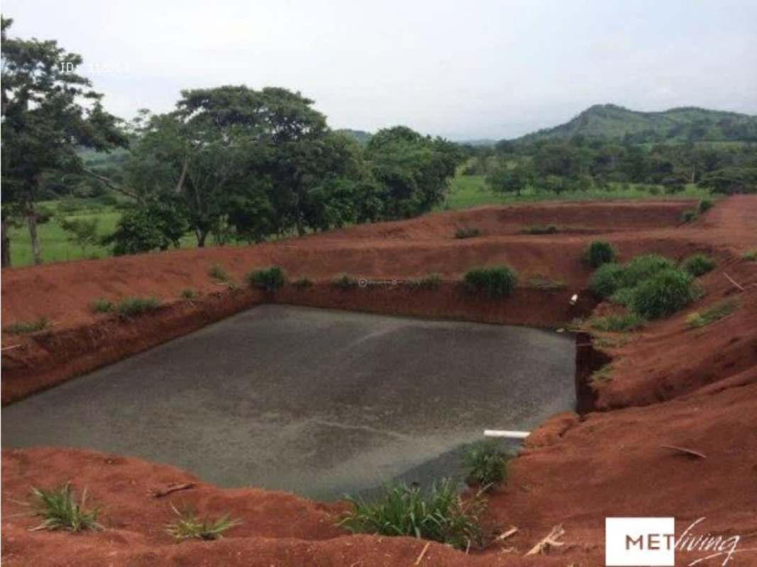 Water pond surrounded by farmland at pig farm Santa Rita Panama Oeste
