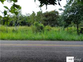 Rural flat lot with natural grass, trees, along paved road in Penonomé Cocle