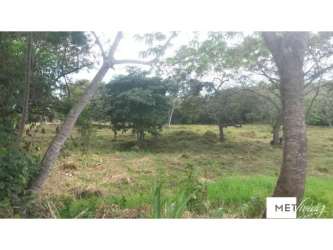 Vacant flat land facing paved road with grassy vegetation and trees in Coclé Panama