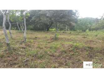 Natural grassy land with scattered trees and mountain views, Coclé Province