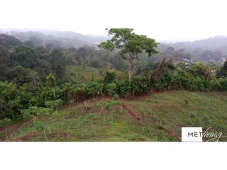 Land for Sale in Alcalde Díaz - 1 bedroom