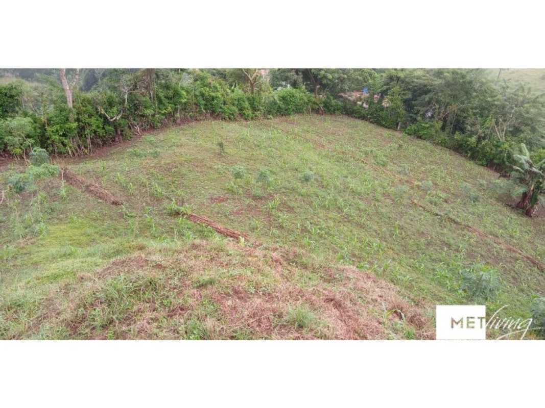 Sloped agricultural plot with green vegetation and natural landscape in Alcalde Díaz Panama