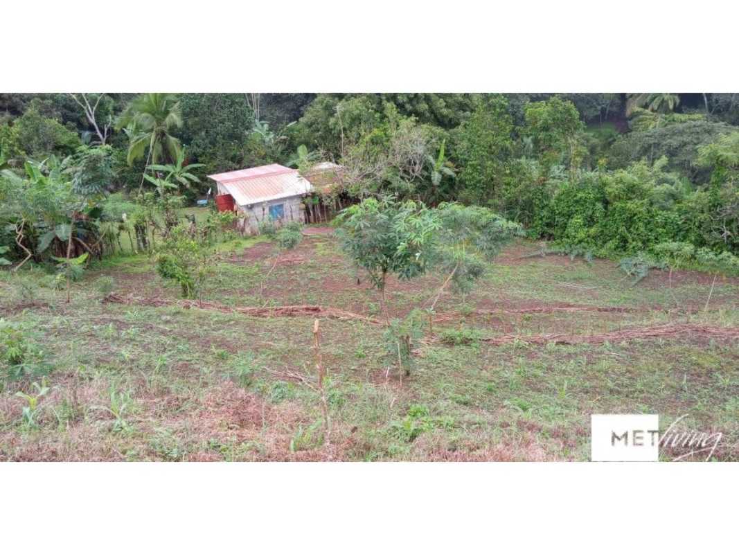 Small farmhouse with tin roof surrounded by banana trees and tropical vegetation Alcalde Díaz