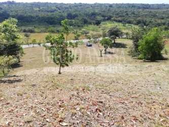 Undeveloped rural lot with trees and natural surroundings in Santa Lucia Panama