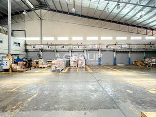 Warehouse for Rent in Betania - 0 bedrooms