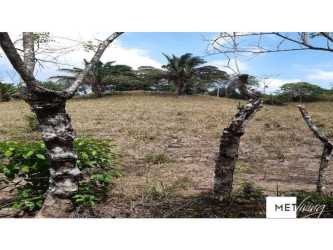 Expansive open lot with some tree coverage and mountain views on farm for sale in Nuevo Vigia Colon Panama