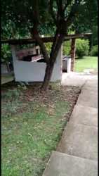 Rustic outdoor barbecue and dining area amid lush garden in Las Lajas Panama