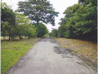 Vacant flat lot with natural vegetation ideal for residential project near Coronado and beach Nueva Gorgona