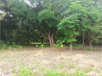 Large flat lot partially wooded located close to major highway and beaches in Nueva Gorgona Panama