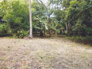 Land for Sale in Chame - 0 bedrooms