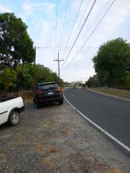 Vacant residential land with trees and small shed in La Palma San Carlos