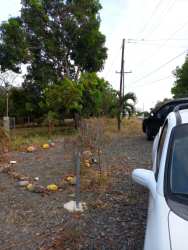 Parking space and gravel driveway near green land lot La Palma San Carlos Panama