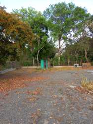 Vacant outdoor lot with mature trees and fencing La Palma San Carlos