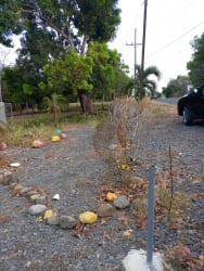 Paved road with utility poles bordering the 1,000m2 lot in San Carlos Coclé