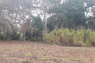 Land for Sale in San Miguelito - 0 bedrooms