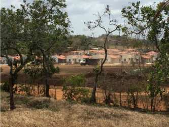 Vacant grassy open land lot suitable for subdivision commercial or residential development Rio Congo La Chorrera Panama