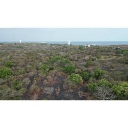 Wide aerial shot of vacant land facing the Pacific by Rio Mar