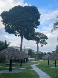 Fully equipped kitchen with granite countertops in rental condo Bijao Panama
