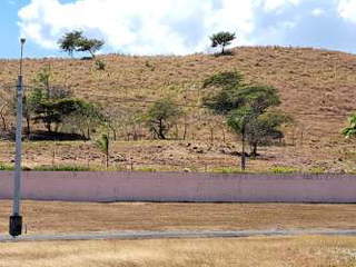 Residential Land for Sale in Chame - 0 bedrooms