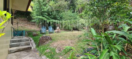 Private backyard with rich greenery and outdoor seating Altos del María Panama