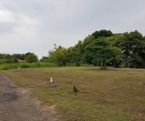 Vacant lot with road access and greenery inside Coronado Golf Panama community