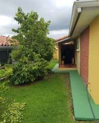 Green lawn with mature tree and fenced backyard in Coronado property